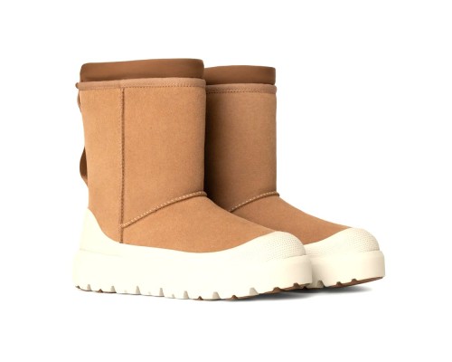 UGG CLASSIC SHORT WEATHER HYBRID CHESTNUT/WHITECAP