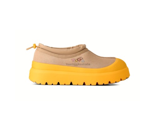 UGG MAN TASMAN WEATHER HYBRID MUSTARD SEED/SUMMER WHEAT