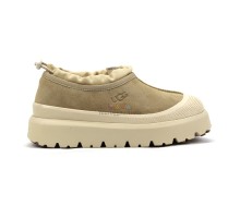 UGG TASMAN WEATHER HYBRID MUSTARD SEED