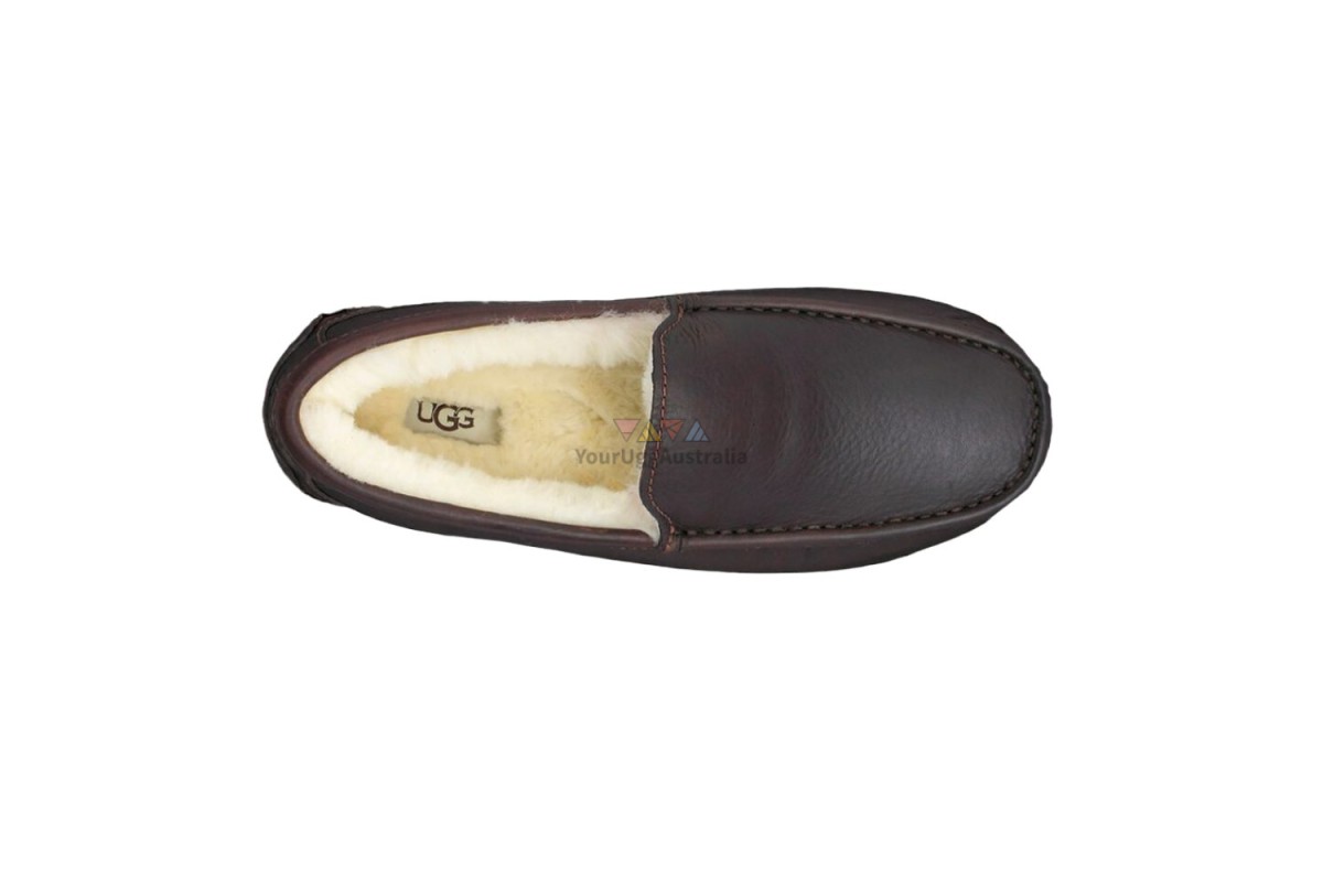 Ascot UGG Slippers