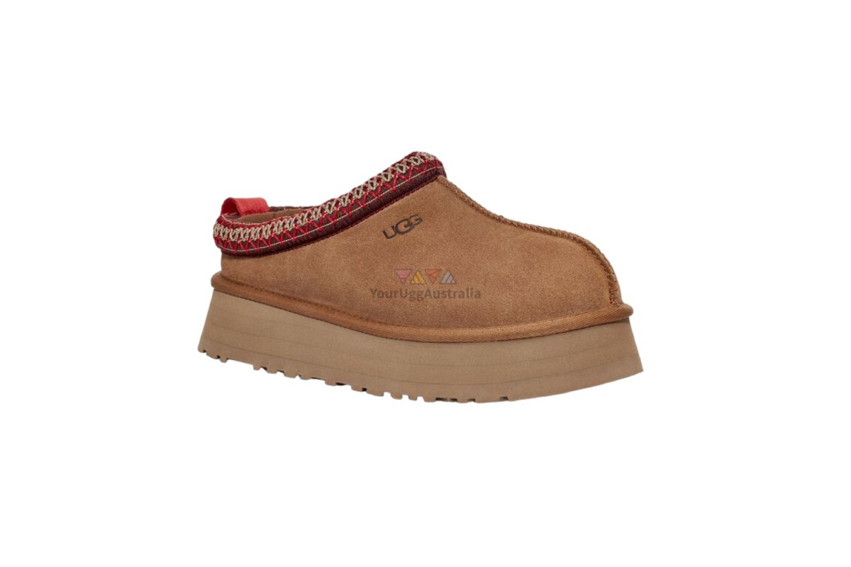 Ugg spain. Клоги угг. UGG Tazz Slippers. UGG Tazz Mules. Tasman Tazz UGG Chestnut.