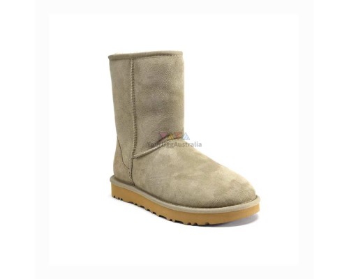 UGG CLASSIC SHORT II ANTILOPE