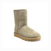 UGG CLASSIC SHORT II ANTILOPE