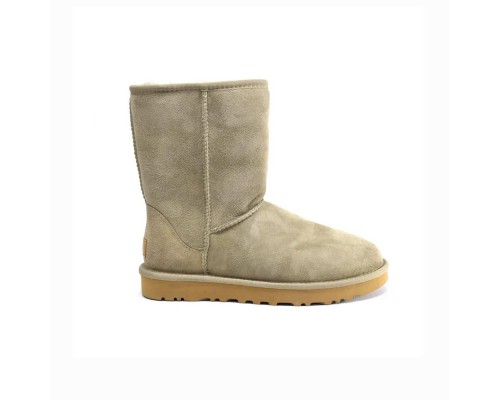 UGG CLASSIC SHORT II ANTILOPE