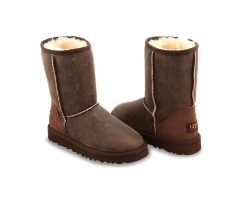 UGG MENS CLASSIC SHORT BOMBER JACKET CHESTNUT