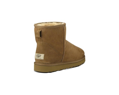 Ugg Classic Mini II Men's Chestnut ( BIG SIZE)