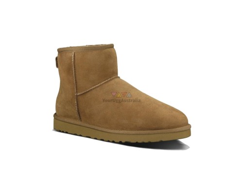 Ugg Classic Mini II Men's Chestnut ( BIG SIZE)