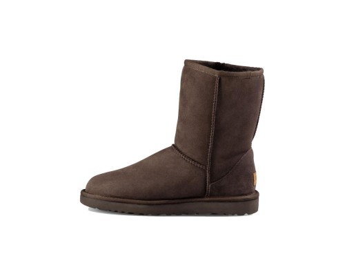 Ugg Classic Short II Chocolate