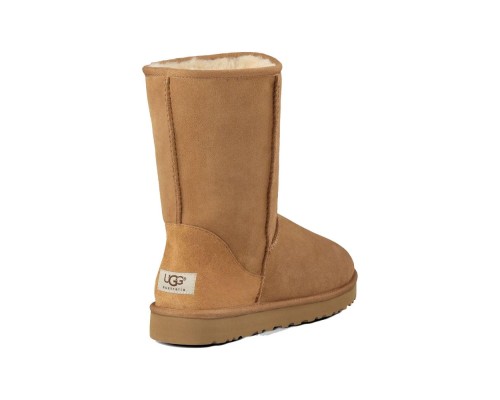 UGG MEN'S CLASSIC SHORT II CHESTNUT