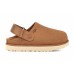 UGG GOLDENSTAR CLOG CHESTNUT