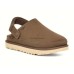 UGG GOLDENSTAR CLOG CHOCOLATE