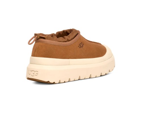 UGG MAN TASMAN WEATHER HYBRID CHESTNUT WHITECAP