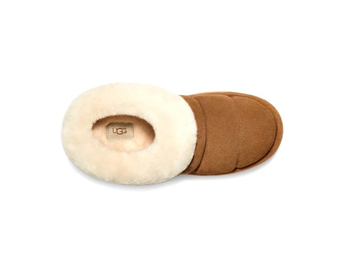 CLASSIC TASMAN TAZZLITA CHESTNUT