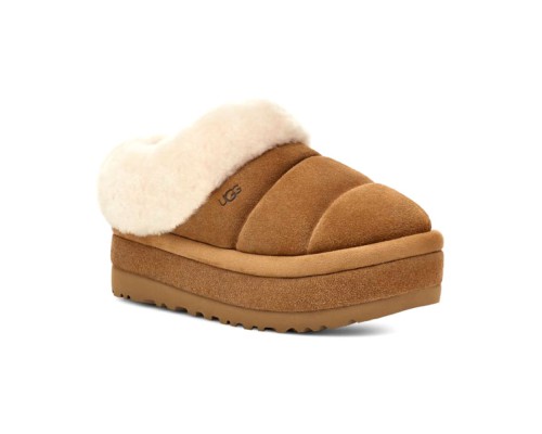 CLASSIC TASMAN TAZZLITA CHESTNUT