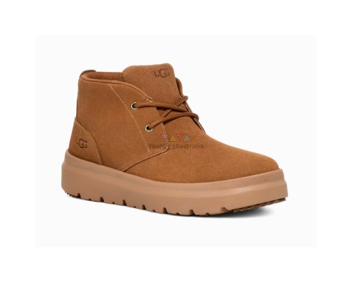 UGG MENS  BURLEIGH CHUKKA TRAINER CHESTNUT